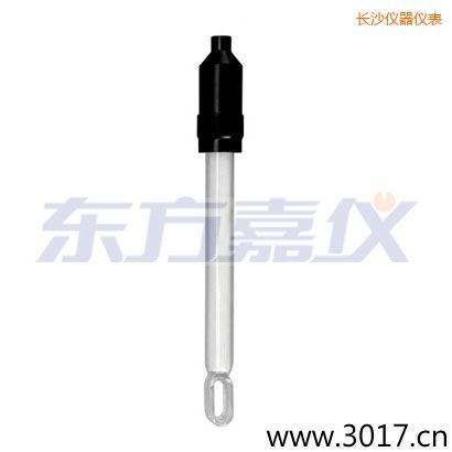 長沙玻璃外殼無溫補(bǔ)兩線電導(dǎo)率電極