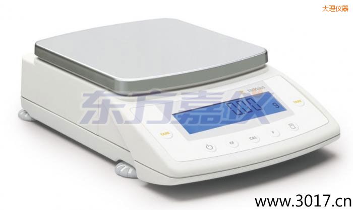 大理CPA系列精密天平,4200g,0.01mg