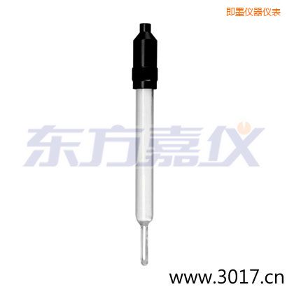 即墨玻璃外殼無溫補(bǔ)兩線電導(dǎo)率電極
