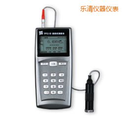 樂(lè)清便攜式測(cè)振儀