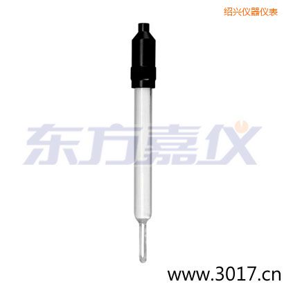 紹興玻璃外殼無溫補(bǔ)兩線電導(dǎo)率電極