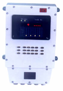 中衛(wèi)壁掛式防爆型氣體檢測報警控制器