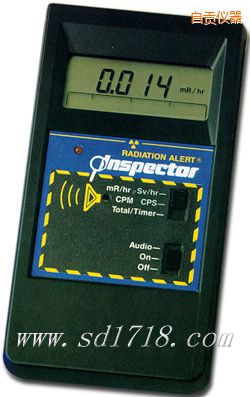 ��ؕ����INSPECTOR��yʽ�侀�z�y�x